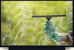 dly Building Services