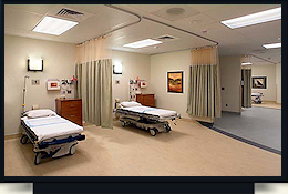 dly Building Services