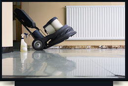 dly Building Services