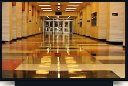 dly Building Services