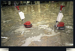 dly Building Services